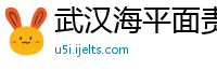 武汉海平面责任有限公司